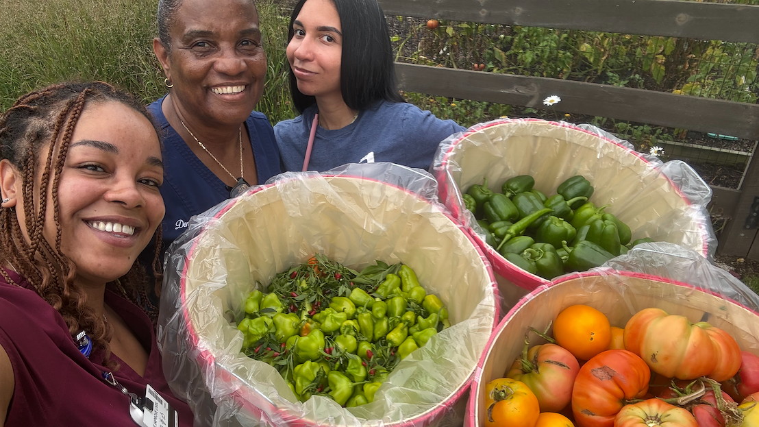 This image shows a photo of three Jefferson Frankford Hospital employees holding baskets of fresh vegetables picked from the Garden of Giving.